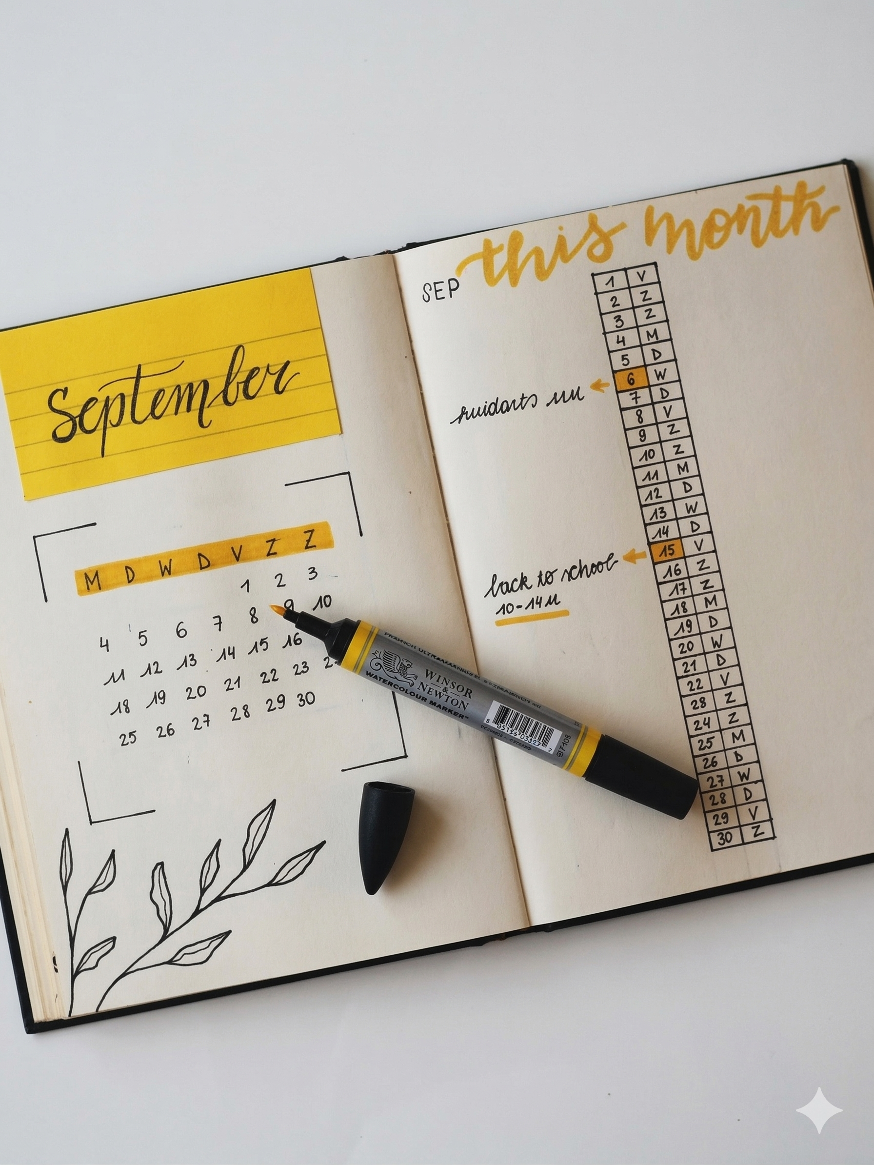 Indian student planning timeline and checklist for US Canada move